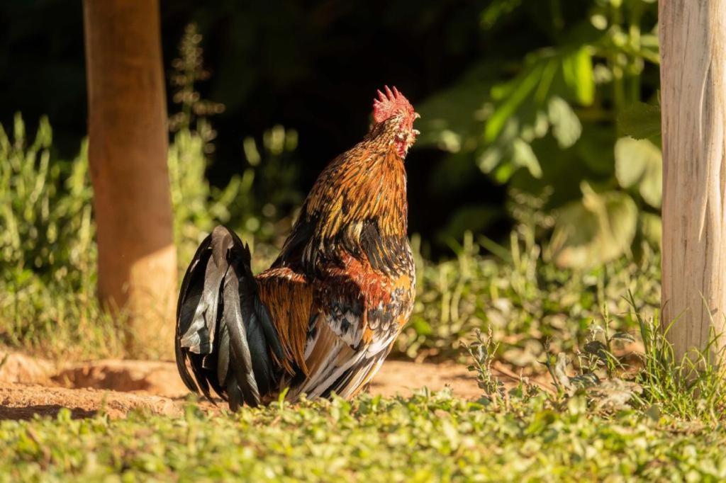 Pousada Campestre Vila Tiradentes Exterior photo